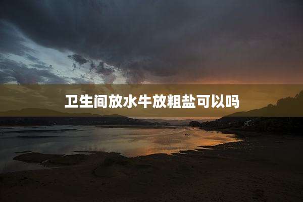 卫生间放水牛放粗盐可以吗