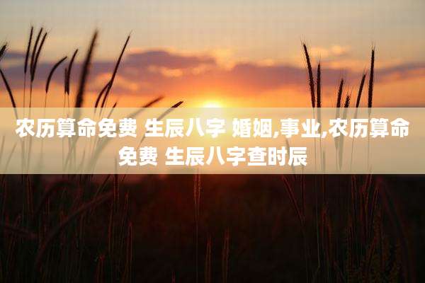 农历算命免费 生辰八字 婚姻,事业,农历算命免费 生辰八字查时辰