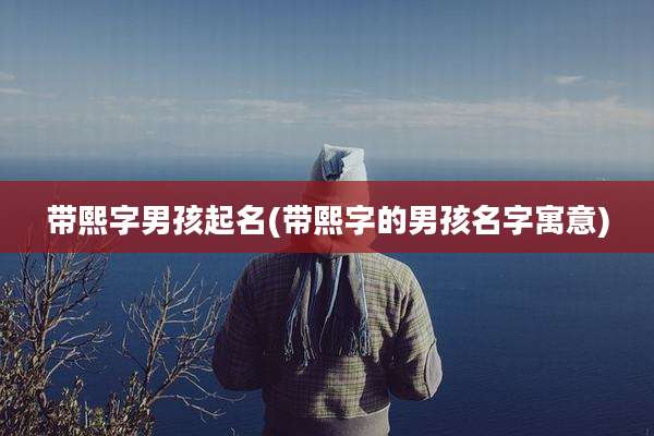 带熙字男孩起名(带熙字的男孩名字寓意)