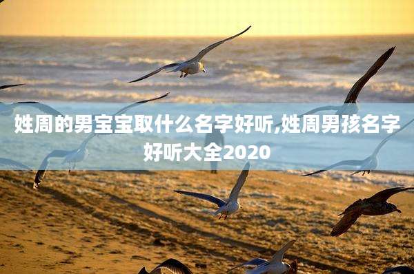 姓周的男宝宝取什么名字好听,姓周男孩名字好听大全2020