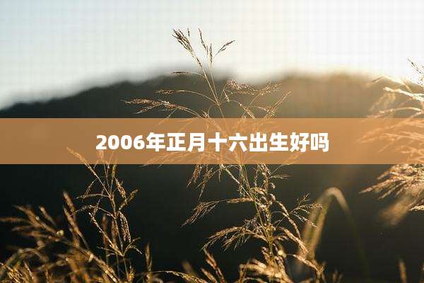 2006年正月十六出生好吗