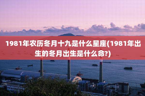 1981年农历冬月十九是什么星座(1981年出生的冬月出生是什么命?)