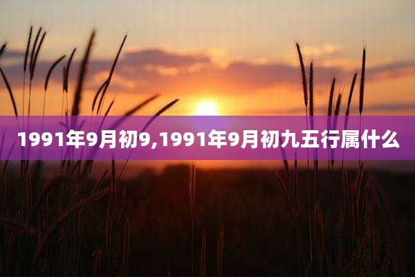 1991年9月初9,1991年9月初九五行属什么