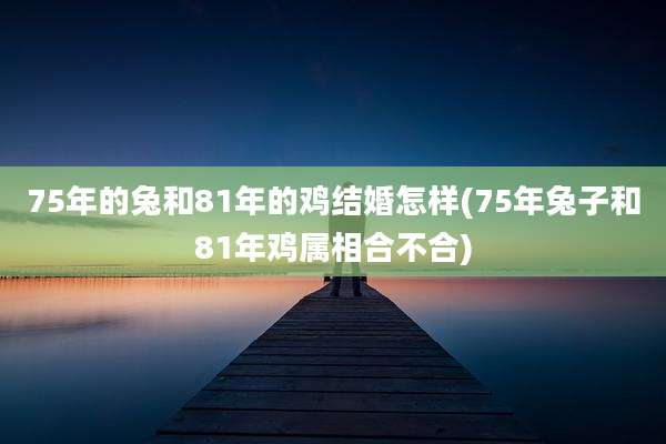 75年的兔和81年的鸡结婚怎样(75年兔子和81年鸡属相合不合)