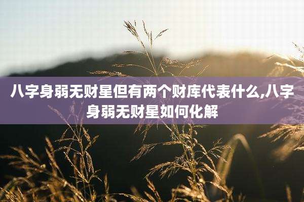 八字身弱无财星但有两个财库代表什么,八字身弱无财星如何化解