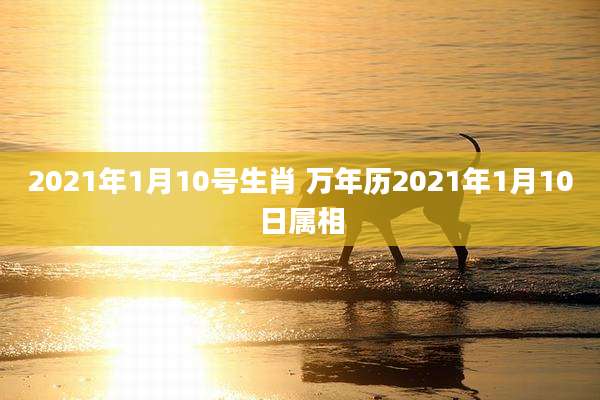 2021年1月10号生肖 万年历2021年1月10日属相