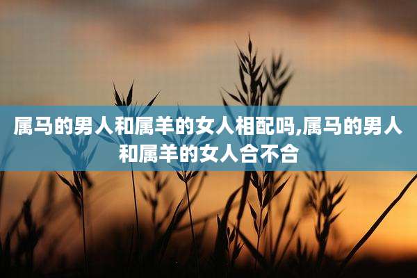 属马的男人和属羊的女人相配吗,属马的男人和属羊的女人合不合