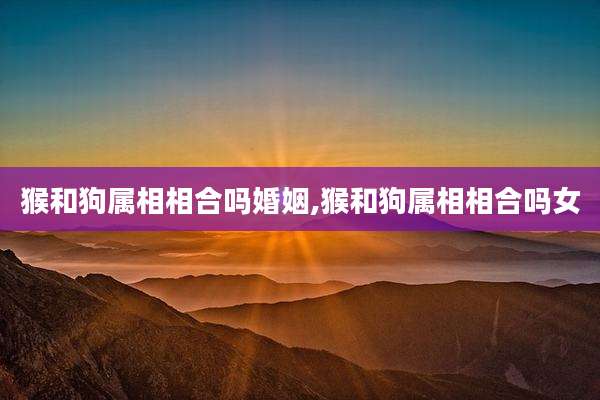 猴和狗属相相合吗婚姻,猴和狗属相相合吗女