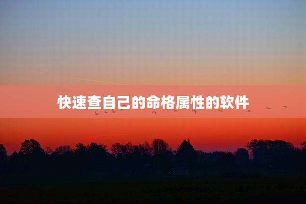 快速查自己的命格属性的软件