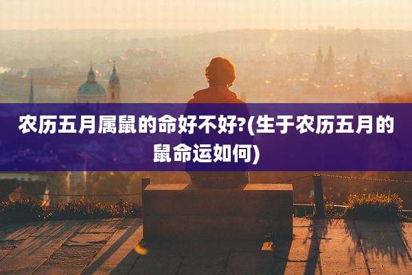 农历五月属鼠的命好不好?(生于农历五月的鼠命运如何)