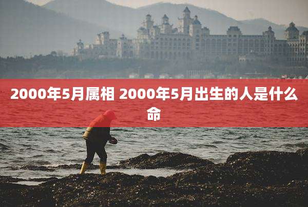 2000年5月属相 2000年5月出生的人是什么命