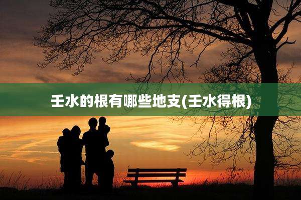壬水的根有哪些地支(壬水得根)