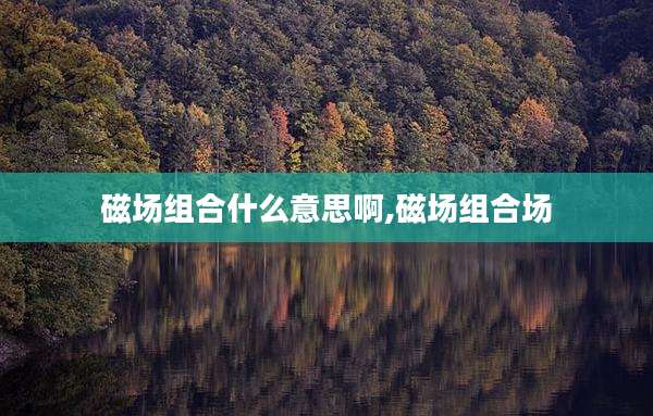 磁场组合什么意思啊,磁场组合场