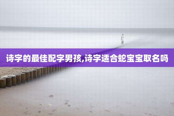 诗字的最佳配字男孩,诗字适合蛇宝宝取名吗