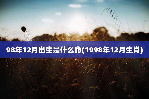 98年12月出生是什么命(1998年12月生肖)