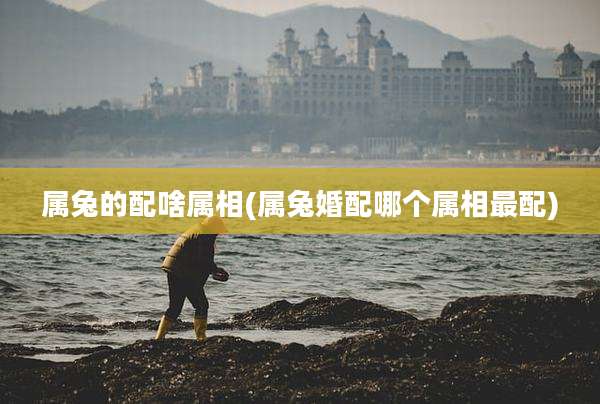 属兔的配啥属相(属兔婚配哪个属相最配)