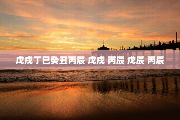 戊戌丁巳癸丑丙辰 戊戌 丙辰 戊辰 丙辰