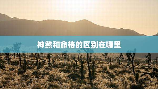 神煞和命格的区别在哪里