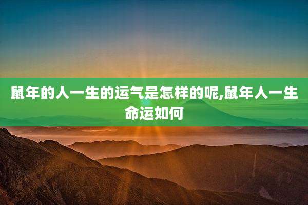 鼠年的人一生的运气是怎样的呢,鼠年人一生命运如何