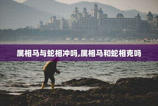 属相马与蛇相冲吗,属相马和蛇相克吗