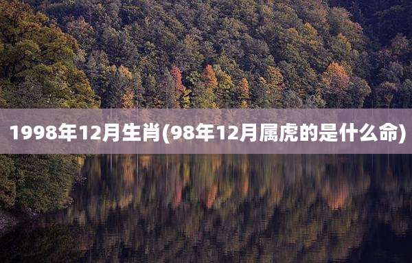 1998年12月生肖(98年12月属虎的是什么命)