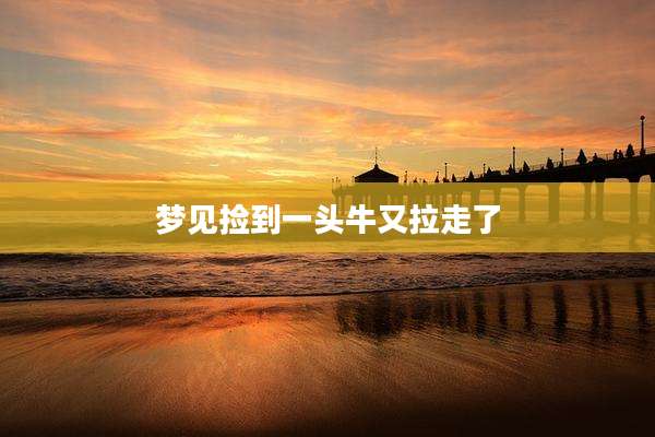 梦见捡到一头牛又拉走了