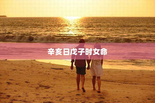 辛亥日戊子时女命