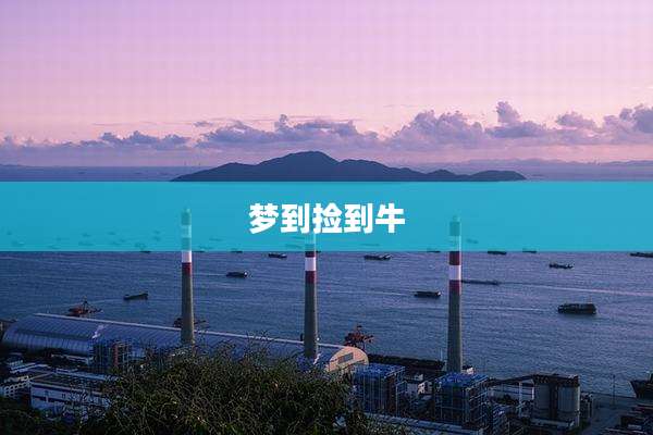 梦到捡到牛
