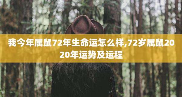 我今年属鼠72年生命运怎么样,72岁属鼠2020年运势及运程