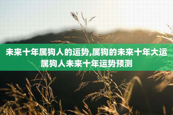 未来十年属狗人的运势,属狗的未来十年大运属狗人未来十年运势预测