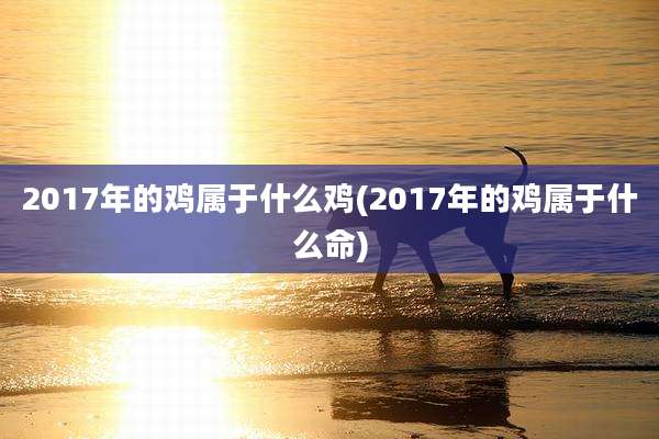 2017年的鸡属于什么鸡(2017年的鸡属于什么命)