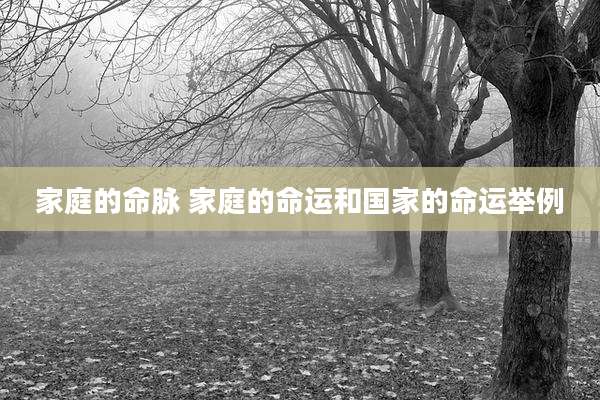 家庭的命脉 家庭的命运和国家的命运举例
