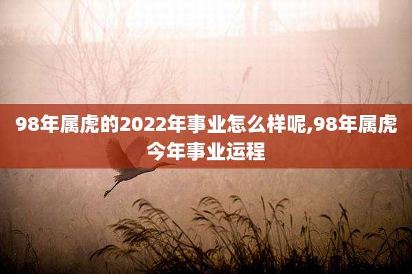 98年属虎的2022年事业怎么样呢,98年属虎今年事业运程