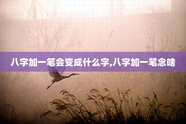 八字加一笔会变成什么字,八字加一笔念啥