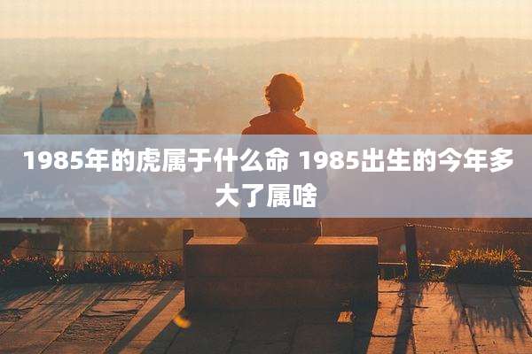 1985年的虎属于什么命 1985出生的今年多大了属啥