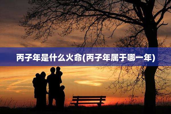 丙子年是什么火命(丙子年属于哪一年)
