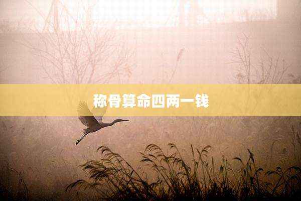 称骨算命四两一钱