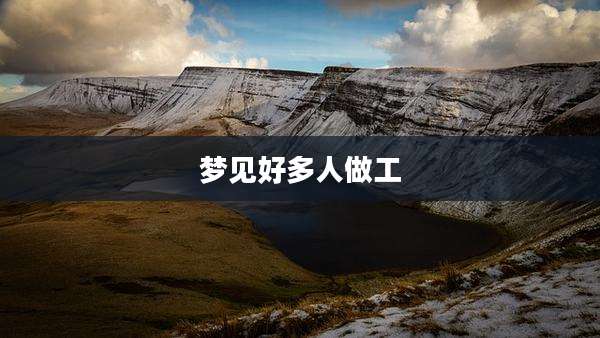 梦见好多人做工