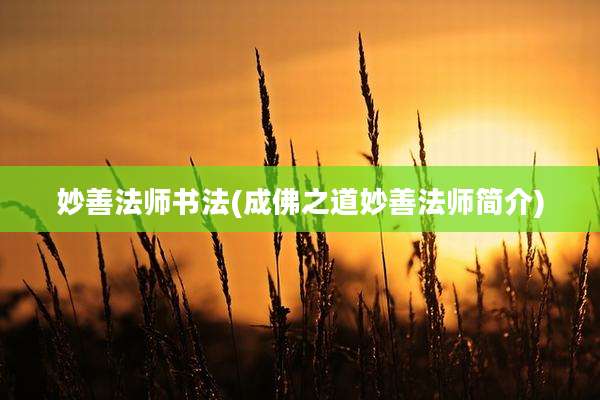 妙善法师书法(成佛之道妙善法师简介)