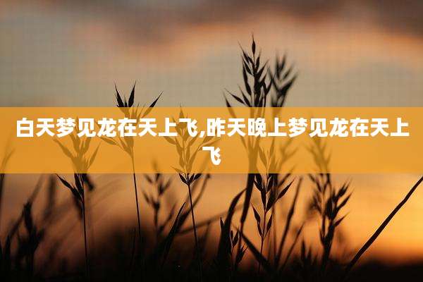 白天梦见龙在天上飞,昨天晚上梦见龙在天上飞