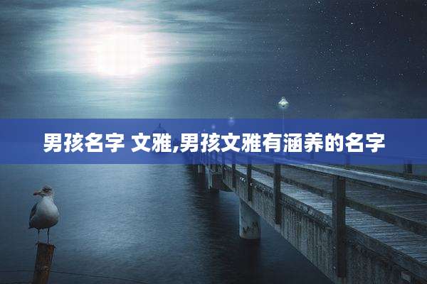 男孩名字 文雅,男孩文雅有涵养的名字