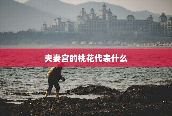 夫妻宫的桃花代表什么