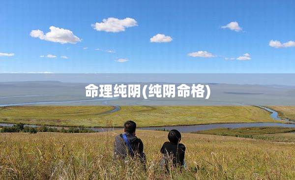 命理纯阴(纯阴命格)