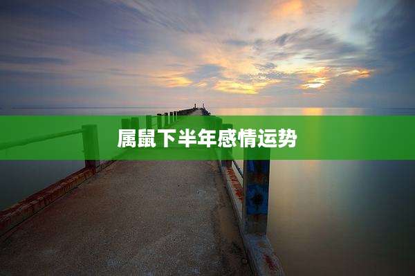 属鼠下半年感情运势