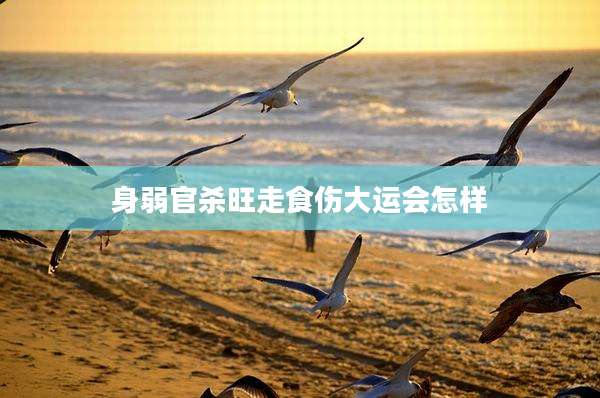 身弱官杀旺走食伤大运会怎样