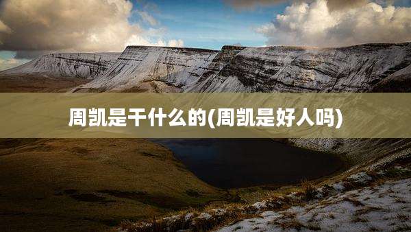 周凯是干什么的(周凯是好人吗)