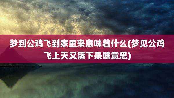 梦到公鸡飞到家里来意味着什么(梦见公鸡飞上天又落下来啥意思)
