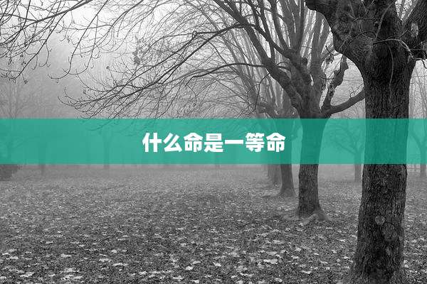 什么命是一等命