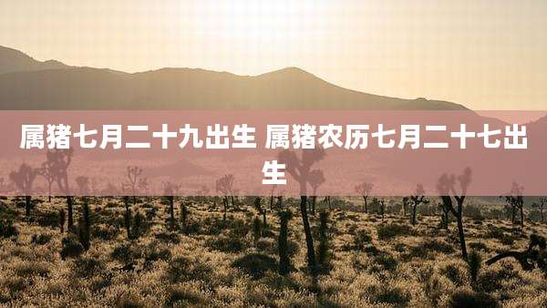 属猪七月二十九出生 属猪农历七月二十七出生