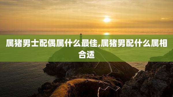 属猪男士配偶属什么最佳,属猪男配什么属相合适